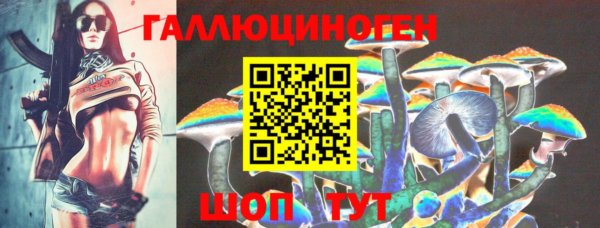 Псилоцибиновые грибы прущие грибы Кандалакша